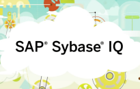 SAP Sybase IQ